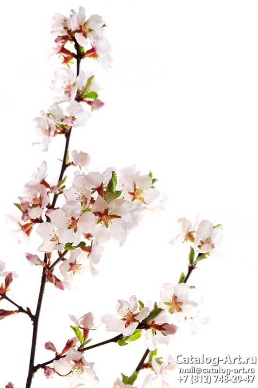 Blossom tree 10